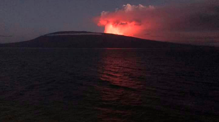 Volcán de Ecuador continúa actividad eruptiva en isla de Galápagos