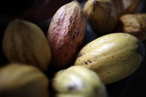 Venezuela celebra el Día Nacional del Cacao este #1Oct