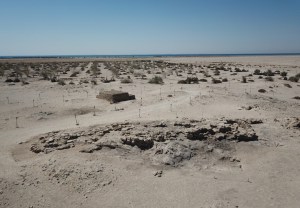 Arqueólogos hallaron raras estructuras de 8.500 años de antigüedad en una remota isla de Emiratos Árabes