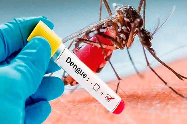 Argentina enfrenta brote de dengue igual al de 2020 y prevé más subidas