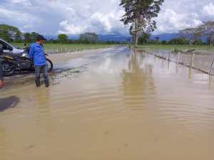 EN IMÁGENES: lluvias causaron la inundación de al menos seis mil hectáreas productivas en Zulia