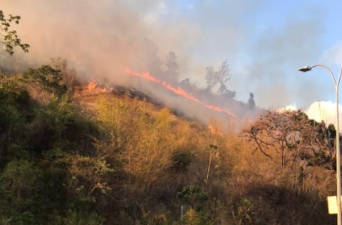 Incendio se expande en El Ávila, mientras que guardaparques activan búsqueda para dar con hombre extraviado #3Abr