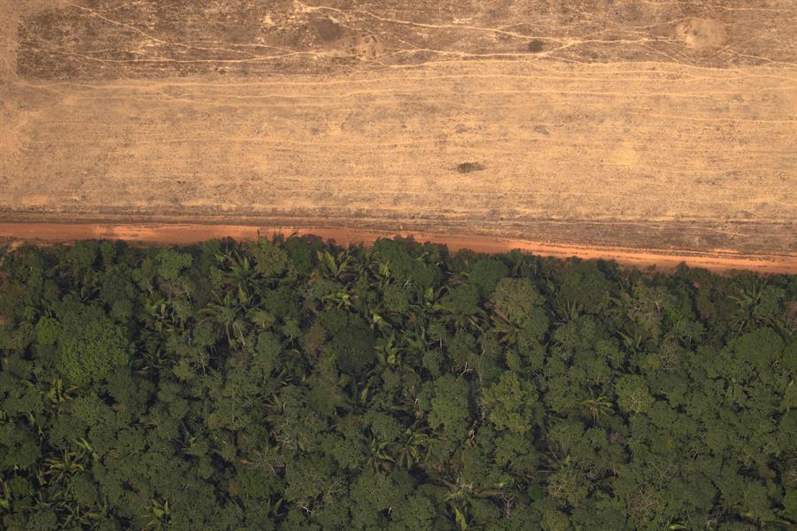 Alertas de deforestación en la Amazonía brasileña rompen nuevo récord en abril