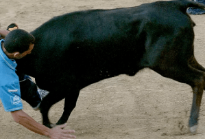 Conmoción en Portugal: Tenia 16 años y murió por el ataque de un toro durante fiestas municipales
