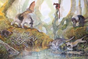 Prehistórico canguro gigante “Nombe Nombe” provienen de Papúa, según estudio