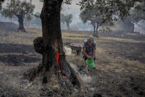 Dolor en Portugal por exceso de mortalidad ante la ola de calor