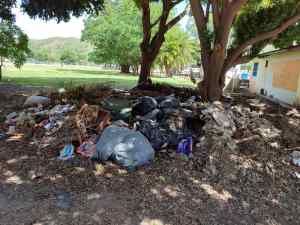 Vecinos denuncian la destrucción de áreas verdes en el parque El Ejército de Maracay