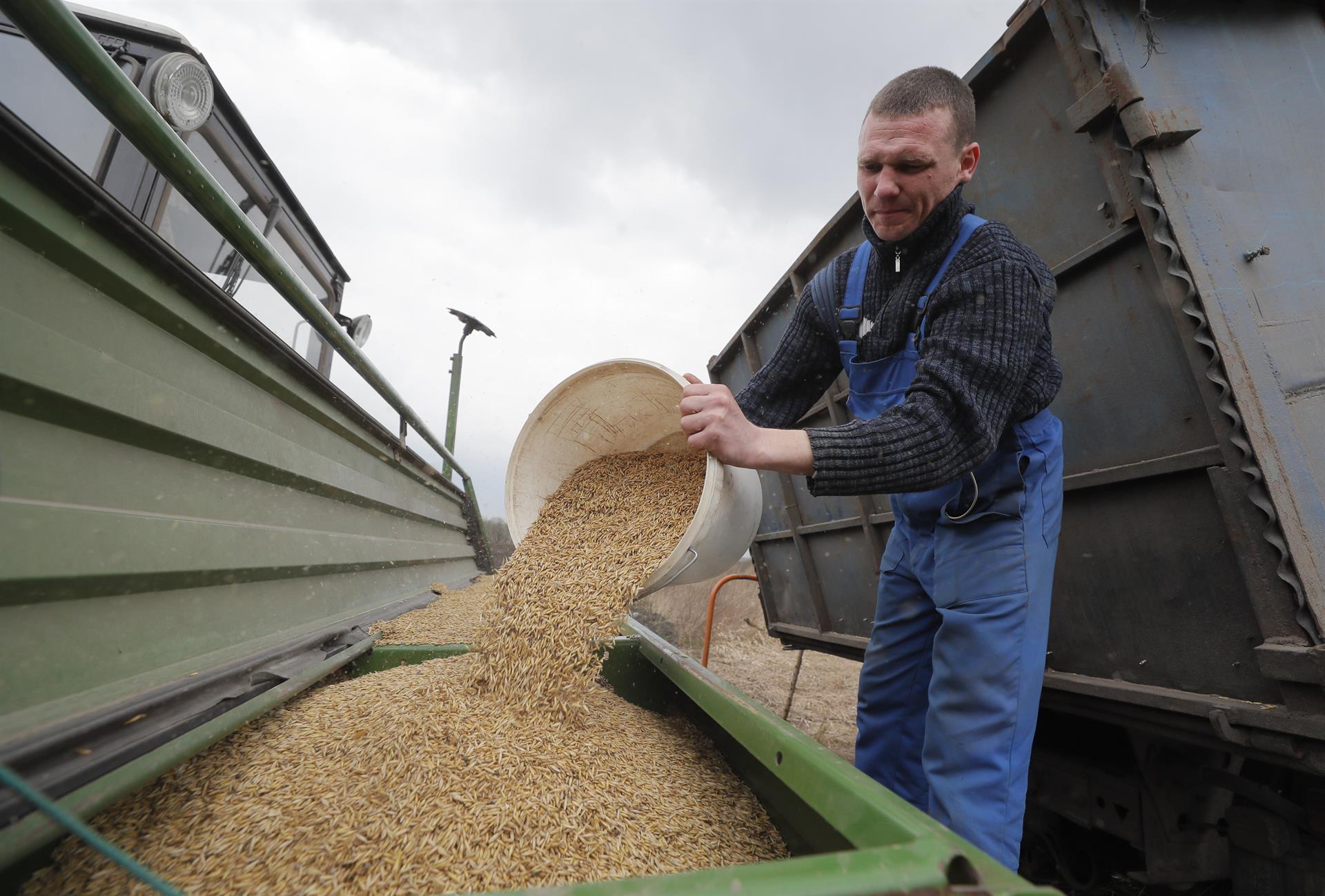 Rusia exporta a Turquía grano robado a Ucrania, según una investigación