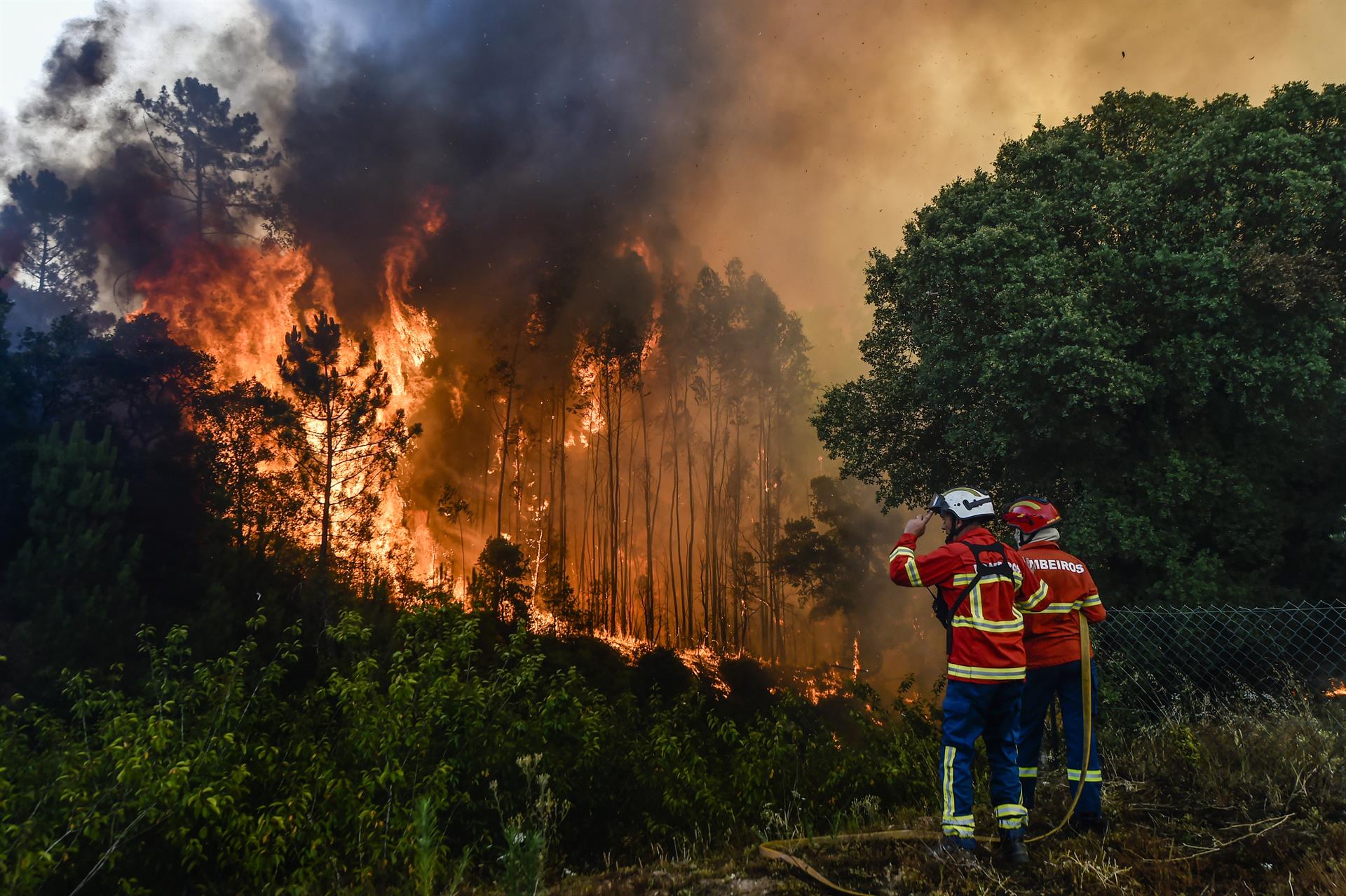 El calor deja más de 300 muertos en el sur de Europa y amenaza con llegar al norte