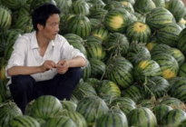 Promotores inmobiliarios en China aceptan que agricultores paguen por viviendas con patillas