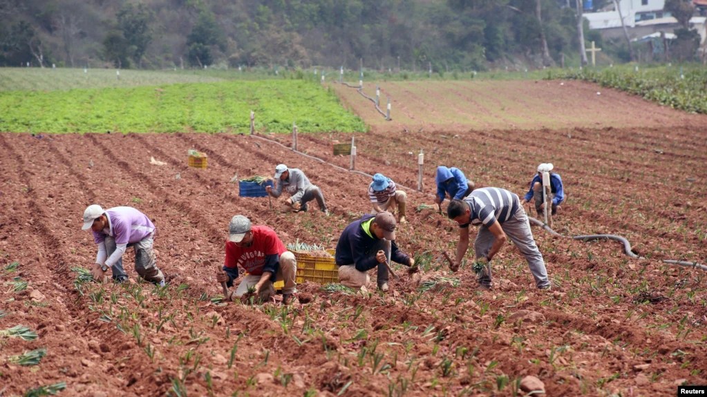 ¿Podría Venezuela proporcionar tierras de cultivo a Irán?