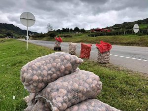 Mérida: Productos agrícolas de Bailadores le dicen no al contrabando