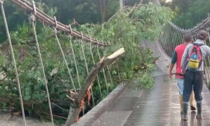 Intransitable quedó puente Las Doradas en Barinas por fuerte crecida del río Calderas (VIDEO)