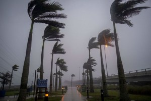 VIDEOS EN VIVO del huracán Ian en Florida: Así se ve la fuerza de sus vientos