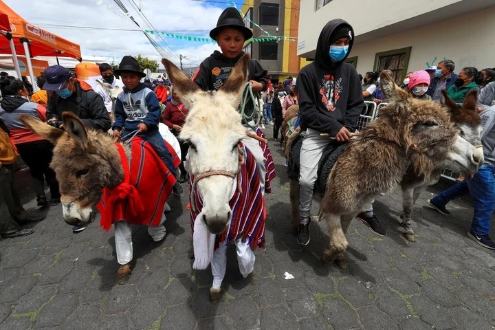 Se realizó la carrera de burros más grande del mundo