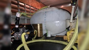 Los atraparon robando “oro líquido”: Bombearon miles de galones desde un restaurante en Florida