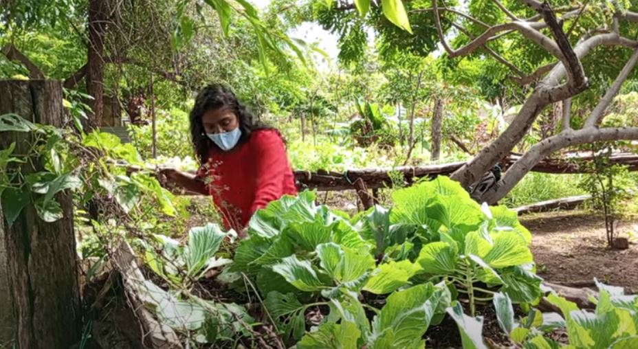 Una experiencia en Altagracia de Orituco es ejemplo en conferencia COP27 (Video)