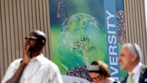 COP27: What they are saying at the climate summit