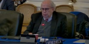 Gobierno Interino de Venezuela condenó en la OEA la ruptura del orden constitucional en Perú