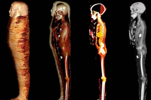 Escáner digital reveló los secretos de una momia de 2.300 años de antigüedad