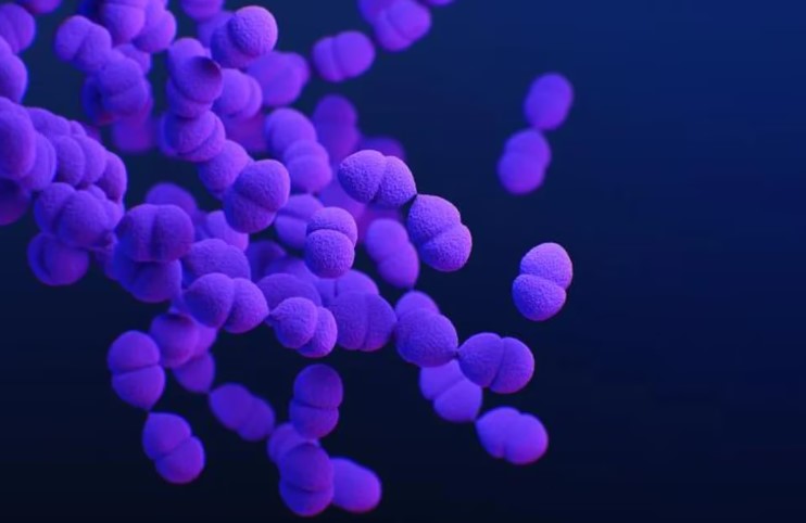 Las 9 bacterias y hongos que hoy amenazan a la salud mundial y dan volumen a la resistencia antimicrobiana