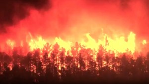 Incendio forestal en Nueva Jersey se extiende a más de mil hectáreas en cuestión de horas y provoca evacuaciones