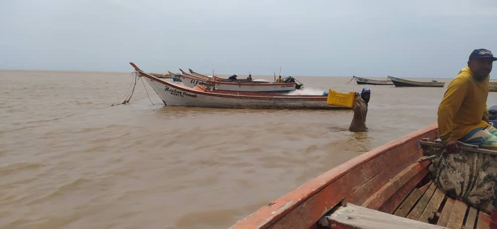 Ecocide in Golfete de Coro: Continuous oil spills and gas leaks destroy the seabed