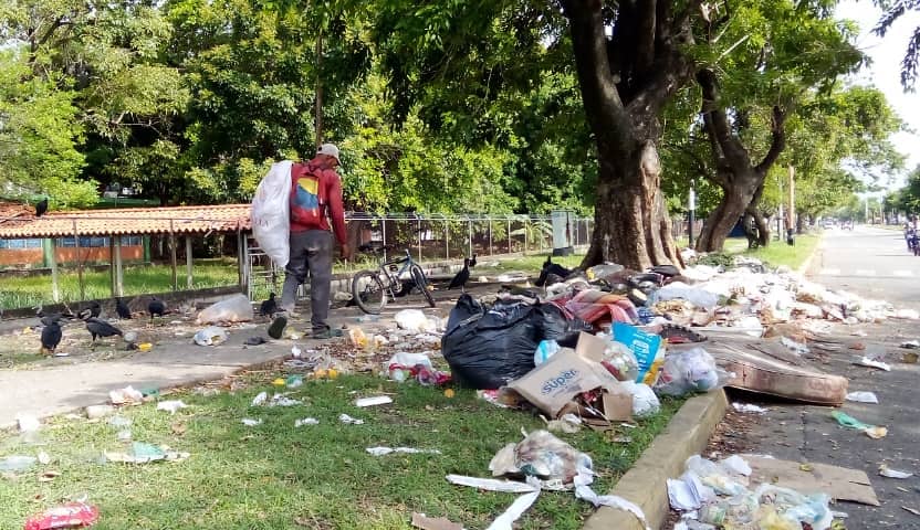 Indigentes y zamuros se disputan los cerros de basura que abundan en Barinas