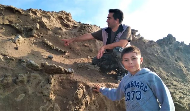 Un niño fanático de los dinosaurios disfrutando de la playa encontró fósiles de la Edad del Hielo en Miramar