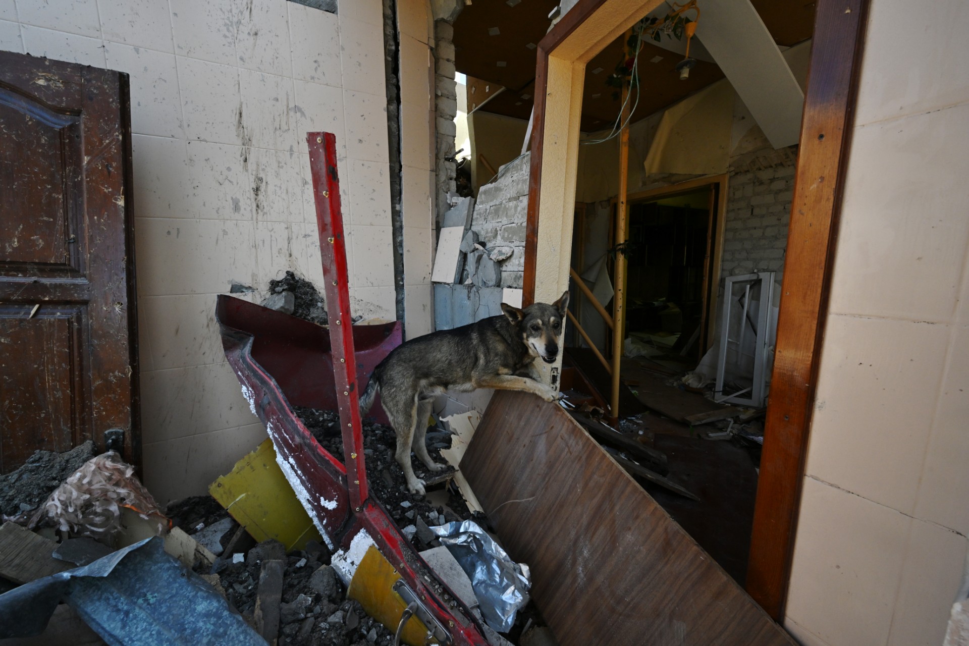 Rusia informa que ataque en el este de Ucrania dejó un muerto y 41 heridos