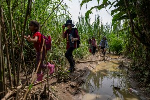 Más de 252 mil venezolanos han cruzado la selva del Darién en los últimos nueve meses