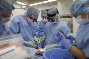 Dos meses y sigue funcionando: Aumentan las esperanzas por riñón de cerdo trasplantado a una persona en EEUU