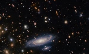 El Telescopio James Webb develó que galaxias similares a la Vía Láctea habrían dominado el universo temprano