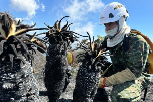 Hay 17 incendios activos en Colombia, según las autoridades ambientales