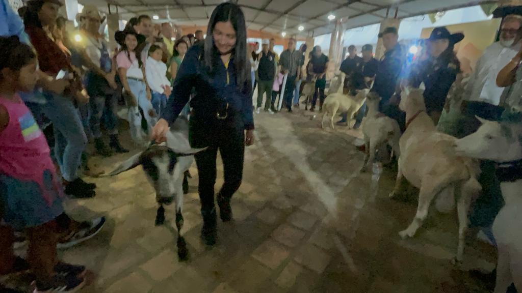 In Táchira’s livestock breeders association, in western Venezuela, was exhibited a goat that produces 7.4 liters of milk in one milking