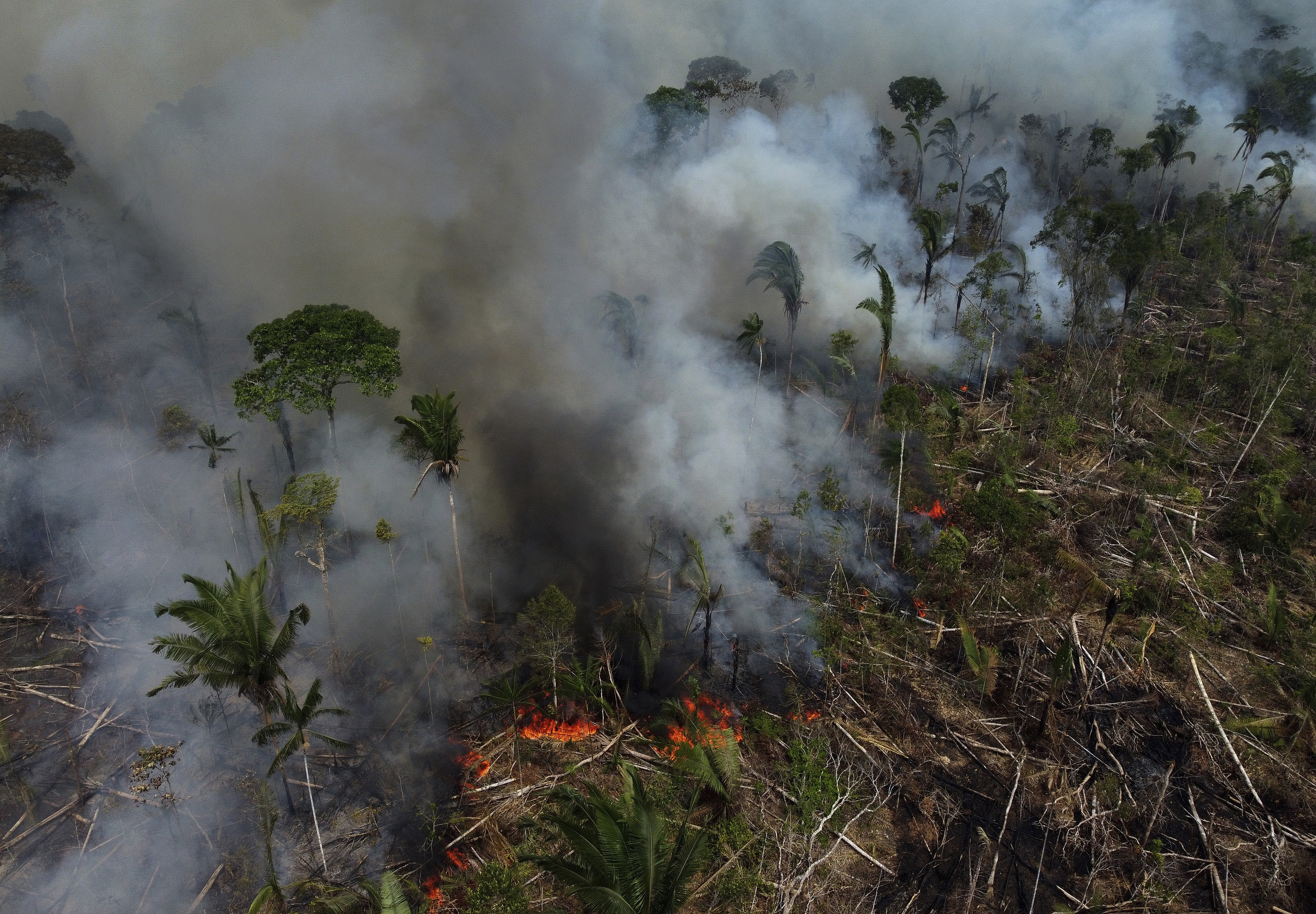 Brasil comienza 2024 con el mayor número de incendios registrado en ocho años en la Amazonía