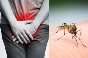 Revelador estudio: Lo que podría provocar el dengue en las erecciones que preocupa a muchos hombres
