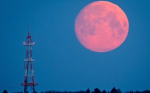 Cuándo hay Luna llena en abril y por qué se la llama “Luna Rosa”