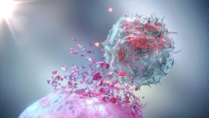 Un estudio arroja luz sobre la capacidad de las células cancerosas para migrar