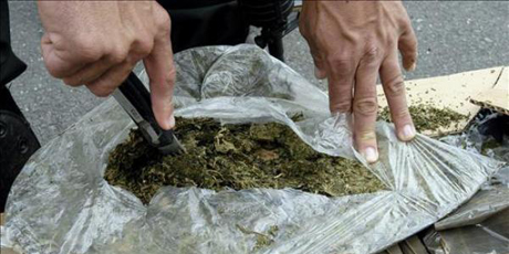 Ocho años de cárcel para sexagenaria por traficar 1,1 kilos de marihuana en Táchira