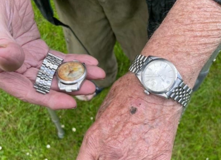 Granjero recuperó su reloj 50 años después de que una vaca se lo comiera