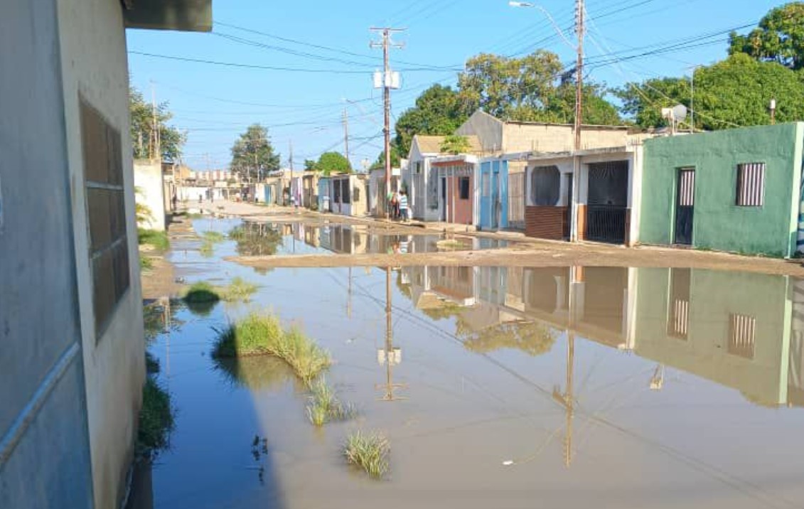 Vecinos de Calle Nueva de Bolivariano en Cumaná tienen años viviendo entre “lagunas” de cloacas